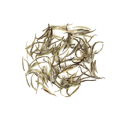 White Tea